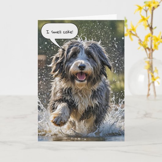 Bearded Collie zum Geburtstag Karte (Gelbe Blume)