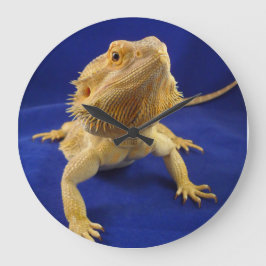 Bearded Dragon on Blue Große Wanduhr