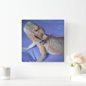 Bearded Dragon Picture Blue Quadratische Wanduhr (Zuhause)