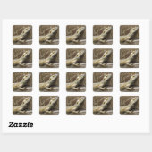 Bearded Dragon Reptile Stickers (Blatt)