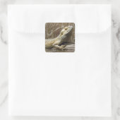 Bearded Dragon Reptile Stickers (Tasche)