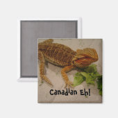 Bearded Dragon Spaß Canadian Eh! Magnet (Vorderseite/Rückseite)
