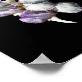 Bearded Iris Blume Bouquet Poster (Ecke)