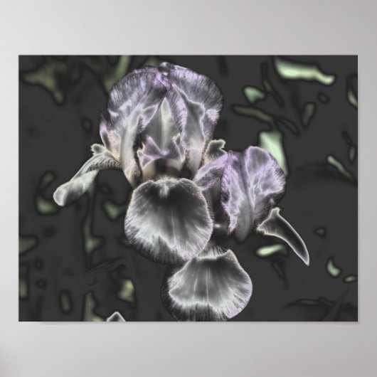 Bearded Iris Blume Pair Metallische Abstrakte Kuns Poster (Vorne)