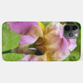 Bearded Iris Case-Mate iPhone Hülle (Rückseite (Horizontal))