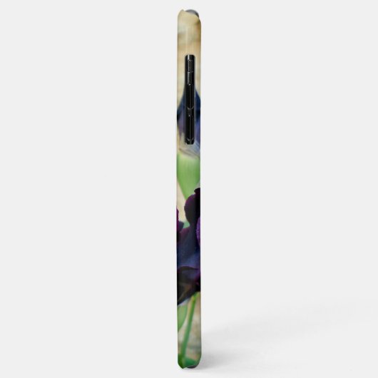 Bearded Iris Case-Mate iPhone Hülle (Hinten/Links)