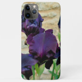 Bearded Iris Case-Mate iPhone Hülle (Rückseite)