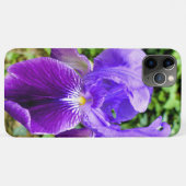 Bearded Iris Case-Mate iPhone Hülle (Rückseite (Horizontal))