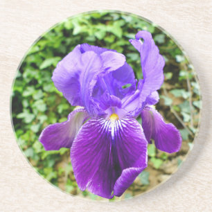 Bearded Iris Getränkeuntersetzer