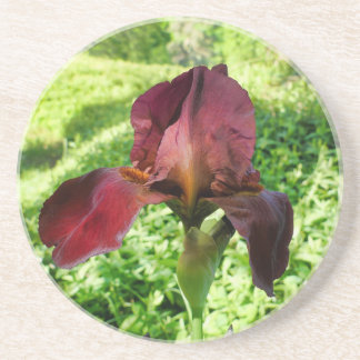 Bearded Iris Getränkeuntersetzer