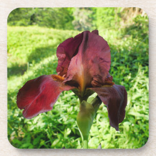 Bearded Iris Getränkeuntersetzer
