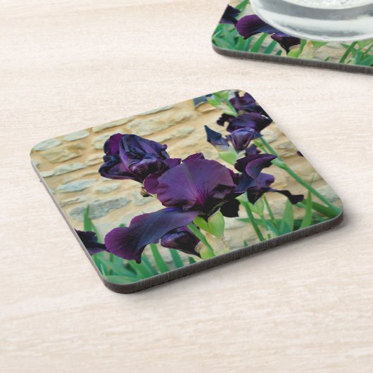 Bearded Iris Getränkeuntersetzer (Linke Seite)