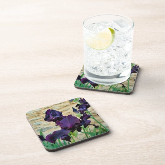 Bearded Iris Getränkeuntersetzer (Rechte Seite)