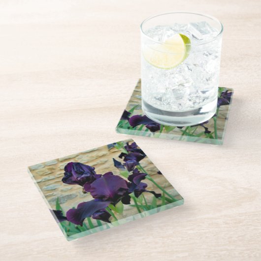 Bearded Iris Glasuntersetzer (Schrägansicht)