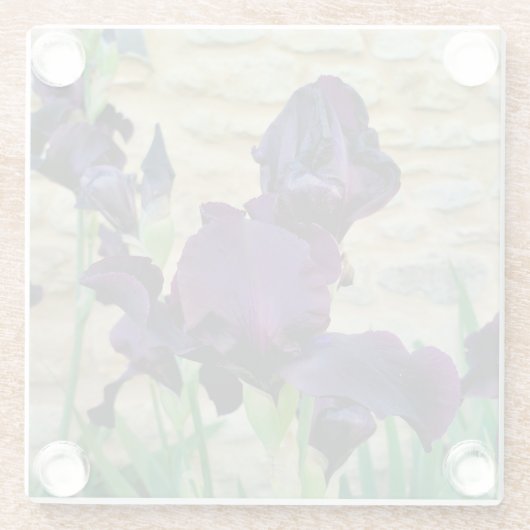 Bearded Iris Glasuntersetzer (Rückseite)