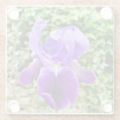 Bearded Iris Glasuntersetzer (Rückseite)