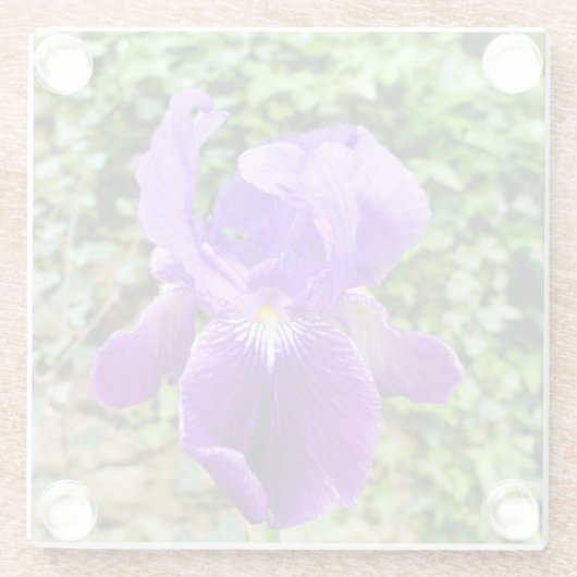 Bearded Iris Glasuntersetzer (Rückseite)