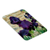 Bearded Iris Magnet (Rechte Seite)