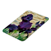 Bearded Iris Magnet (Linke Seite)