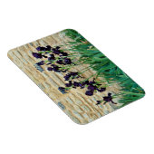 Bearded Iris Magnet (Rechte Seite)