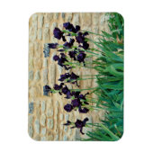 Bearded Iris Magnet (Vertikal)