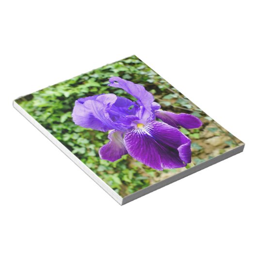 Bearded Iris Notizblock (angewinkelt)