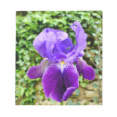 Bearded Iris Notizblock (Vorderseite)