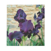 Bearded Iris Notizblock (Vorderseite)