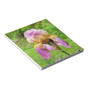 Bearded Iris Notizblock