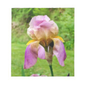 Bearded Iris Notizblock (Vorderseite)