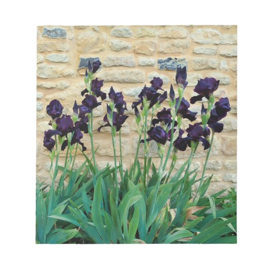 Bearded Iris Notizblock (Vorderseite)