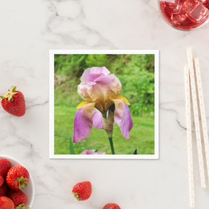 Bearded Iris Paper Napkins Serviette