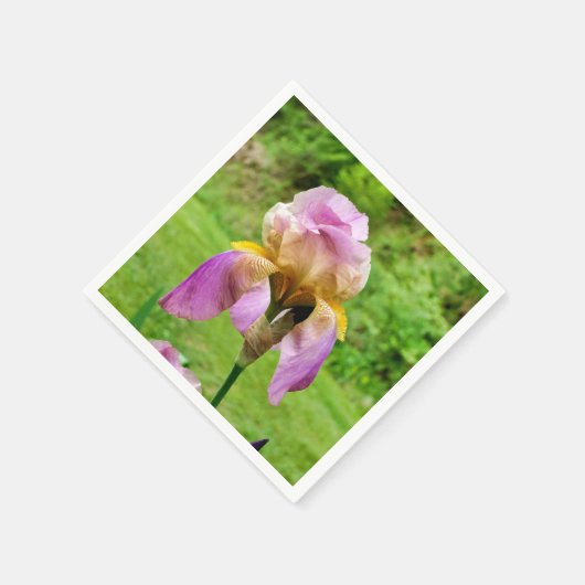 Bearded Iris Paper Napkins Serviette (Ecke)