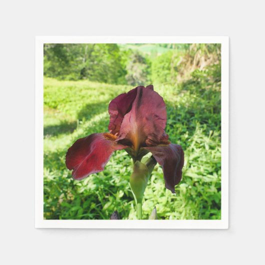 Bearded Iris Paper Napkins Serviette (Vorderseite)