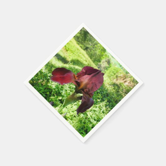 Bearded Iris Paper Napkins Serviette (Ecke)