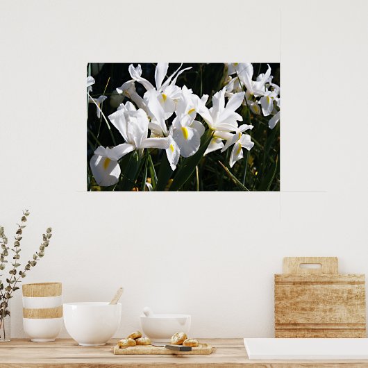 Bearded Iris Poster (Küche)