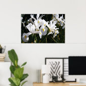 Bearded Iris Poster (Heimbüro)