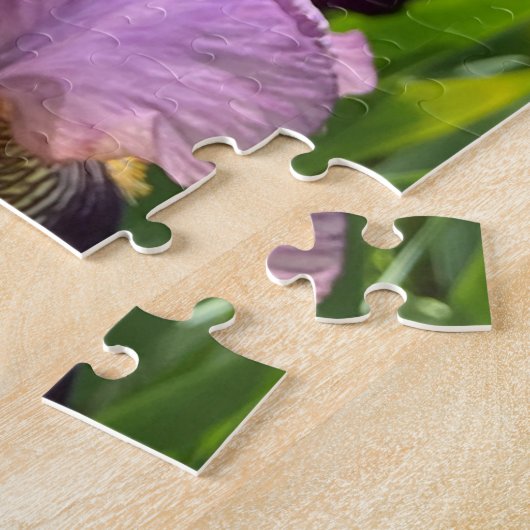 Bearded Iris Puzzle (Seite)
