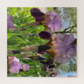 Bearded Iris Puzzle (Horizontal)
