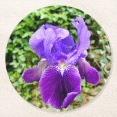 Bearded Iris Runder Pappuntersetzer (Vorderseite)