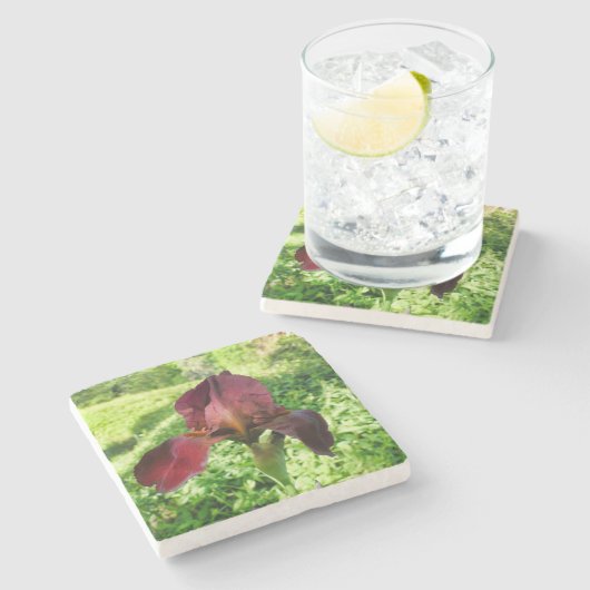 Bearded Iris Steinuntersetzer (Seitenansicht)