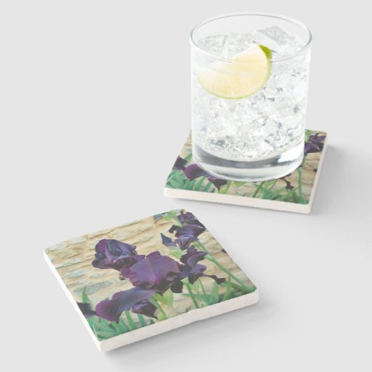 Bearded Iris Steinuntersetzer (Seitenansicht)