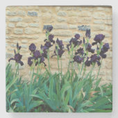 Bearded Iris Steinuntersetzer (Vorderseite)