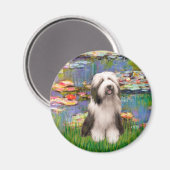Beardie 1 - Lilies 2 Magnet (Vorderseite/Rückseite)
