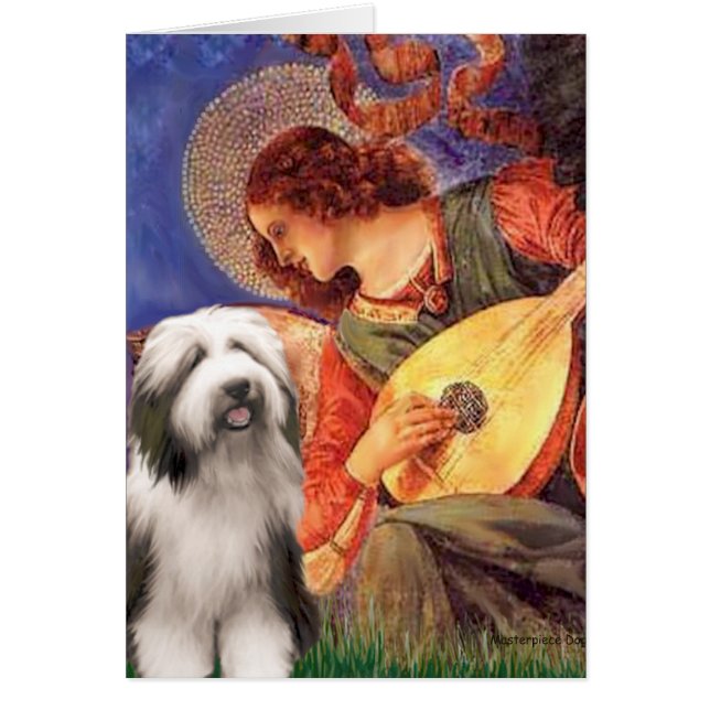 Beardie 1 - Mandolin Angel (Vorne)