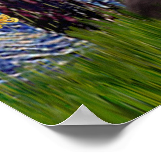 Beardie 2 - Starry Night Poster (Ecke)