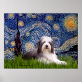 Beardie 2 - Starry Night Poster (Vorne)