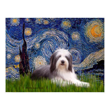 Beardie 2 - Starry Night