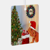 Beardie-Claus Bartded Dragon Ornament Aus Metall (Vorderseite Rechts)