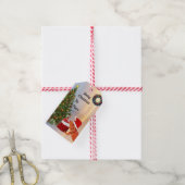 Beardie-Claus - Bartded Dragon Santa Geschenkanhänger (Mit Garn)